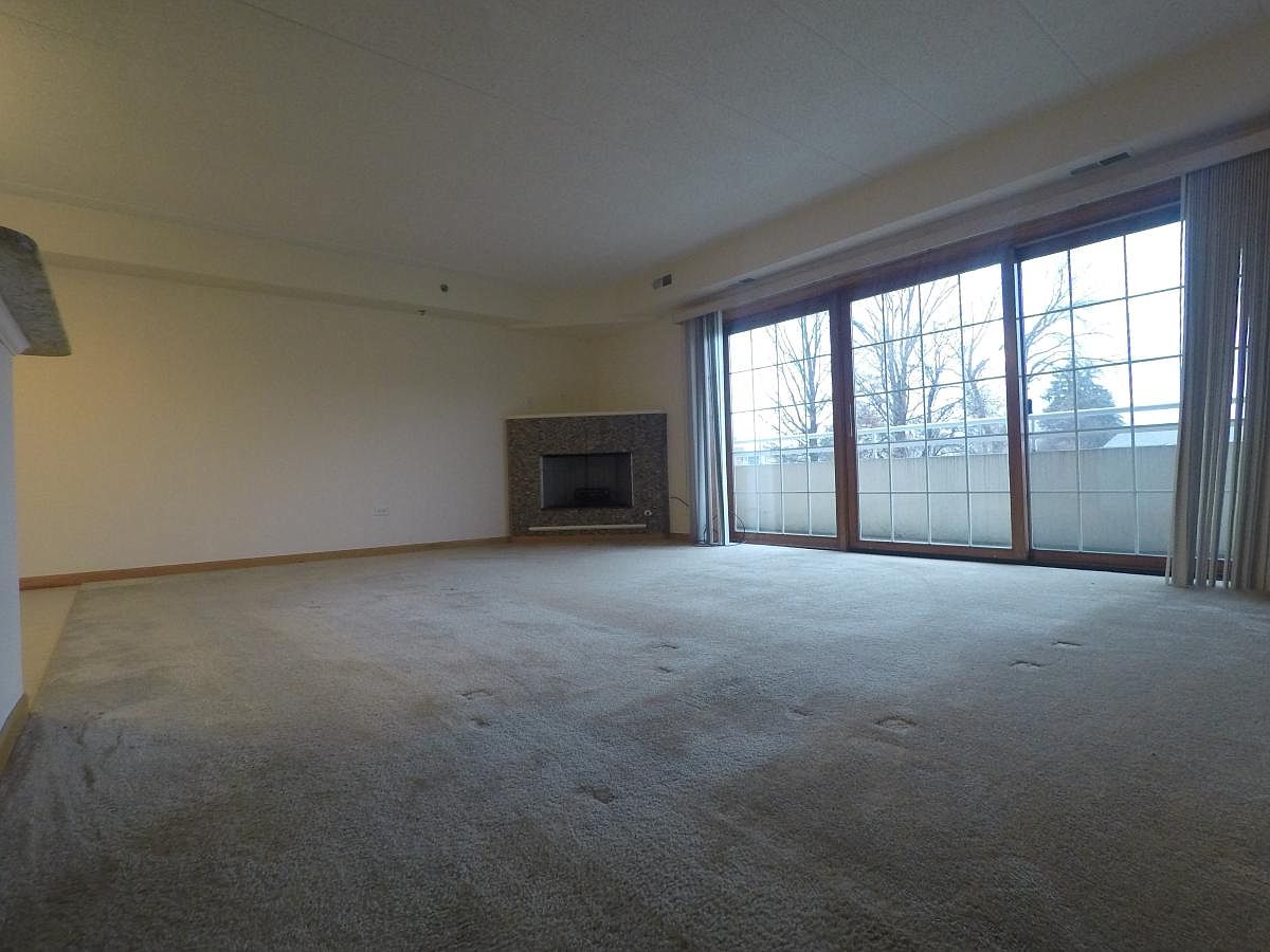 8200 W. 87th Street, Hickory Hills Unit 2M Chimenea